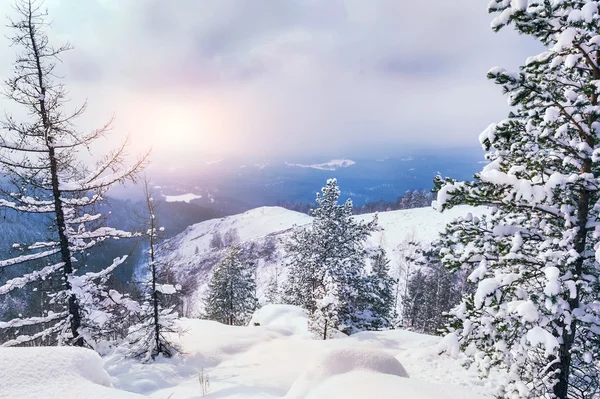 美しい冬の風景 — ストック写真