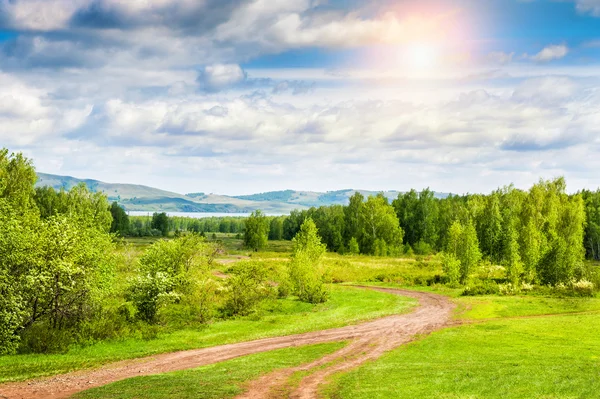 Beautiful summer landscape with forest and mountains — Stock Photo, Image