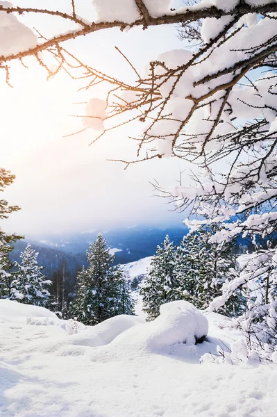 Vackert vinterlandskap — Stockfoto