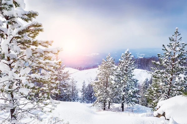 Bellissimo paesaggio invernale — Foto Stock