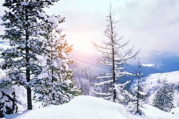 Bellissimo paesaggio invernale — Foto Stock