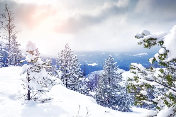 Schöne Winterlandschaft — Stockfoto