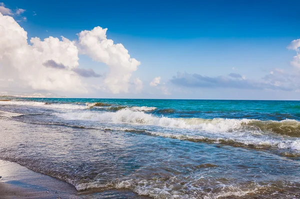 Tropischer Strand — Stockfoto