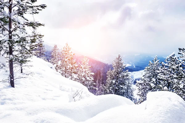 Vackert vinterlandskap — Stockfoto