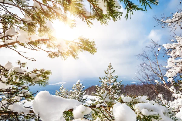 Bellissimo paesaggio invernale — Foto Stock