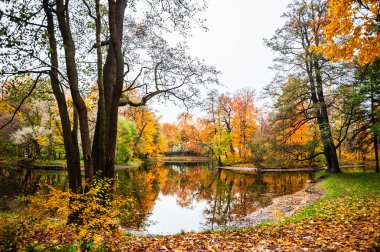 Sonbahar manzara. Sonbahar sahne. 