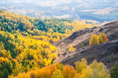Güzel bir dağda sonbahar orman manzarası