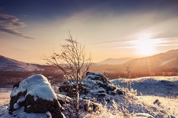 Fantástico paisaje invernal al atardecer —  Fotos de Stock