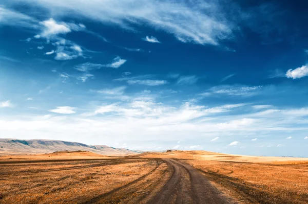 Beautiful summer landscape — Stock Photo, Image