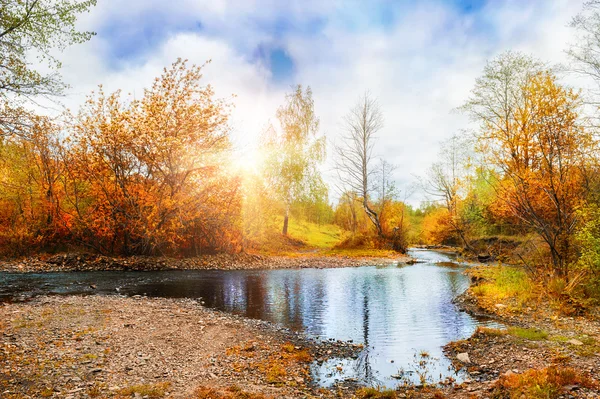 Mountain stream, forest autumn landscape at sunset — Stock Photo, Image