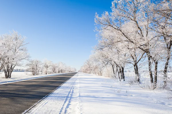 Indah pemandangan musim dingin — Stok Foto