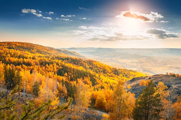 Hermosa vista del bosque de otoño en las montañas — Foto de Stock