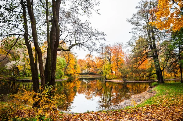 Autumn landscape. Fall scene.