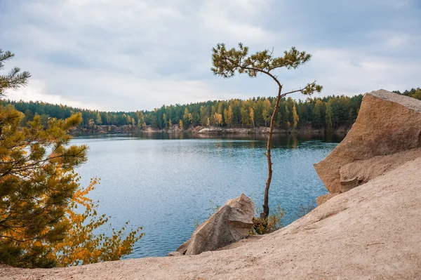 Fenyőfák, sziklás partján, a tó — Stock Fotó