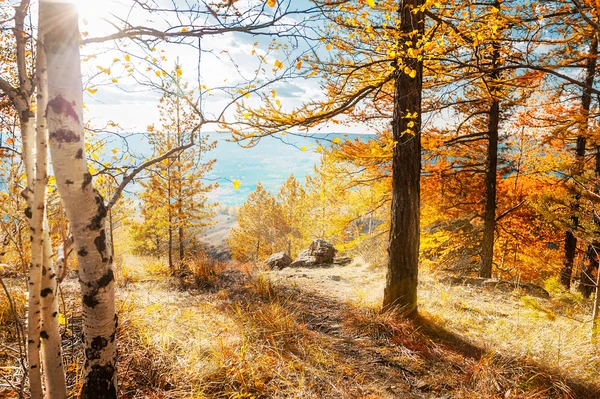Autumn landscape. Fall scene — Stock Photo, Image