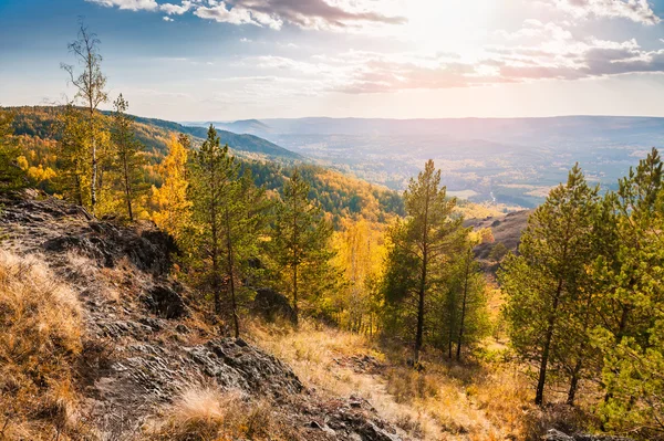 Schöne Aussicht auf den Herbstwald in den Bergen — Stockfoto