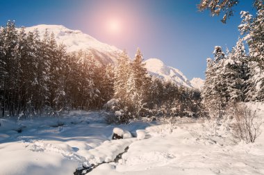 Güneşli bir gün dağ Nehri