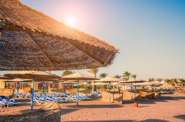 Güzel tropikal plaj