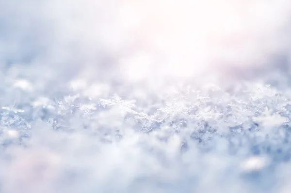 Macro foto van sneeuwvlokken — Stockfoto
