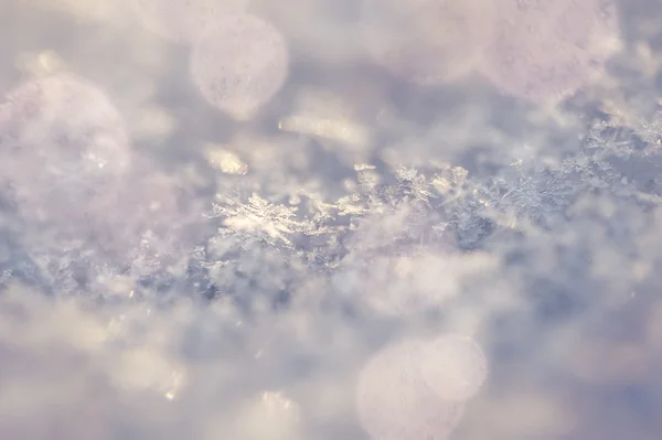 Makro bilden av snöflingor — Stockfoto