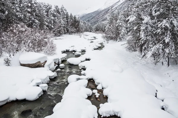 Nevicate sul fiume di montagna — Foto Stock