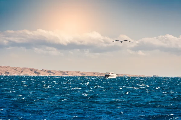 Yate blanco en el mar — Foto de Stock