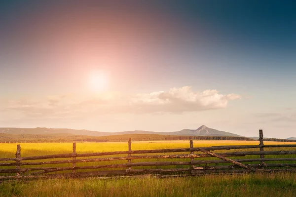 Rural nature at sunset — Stock Photo, Image