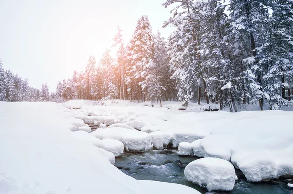 Nevicate sul fiume di montagna — Foto Stock