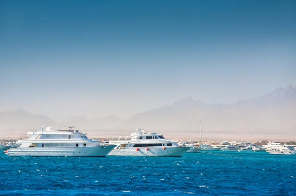 Yachts blancs dans la mer Rouge — Photo