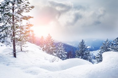 Güzel kış manzarası