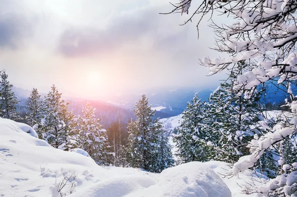 Schöne Winterlandschaft — Stockfoto