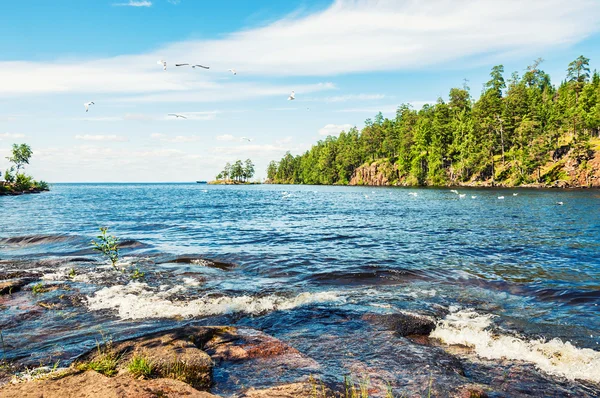 Beautiful summer landscape — Stock Photo, Image