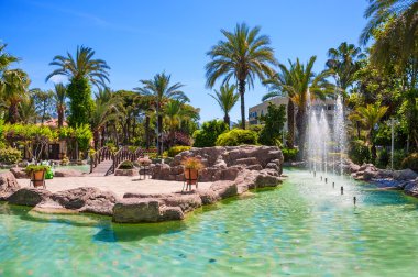 Park gölet ve palmiye ağaçları ile denizin ile