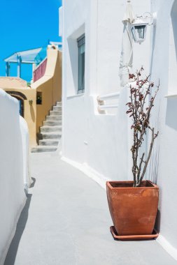 Yunanistan 'ın Santorini adasında beyaz mimari