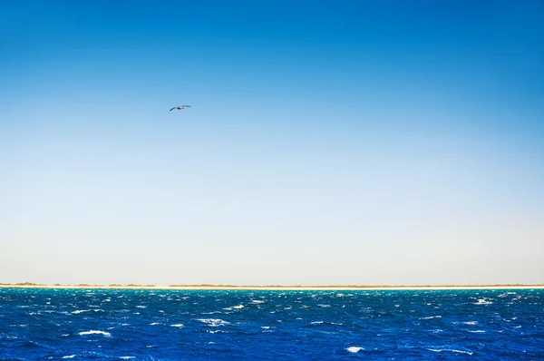 Playa tropical con mar azul y cielo azul — Foto de Stock