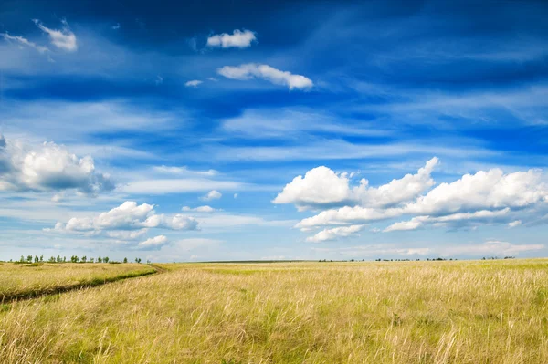 Field and blue sky with clouds. — Stock Photo, Image