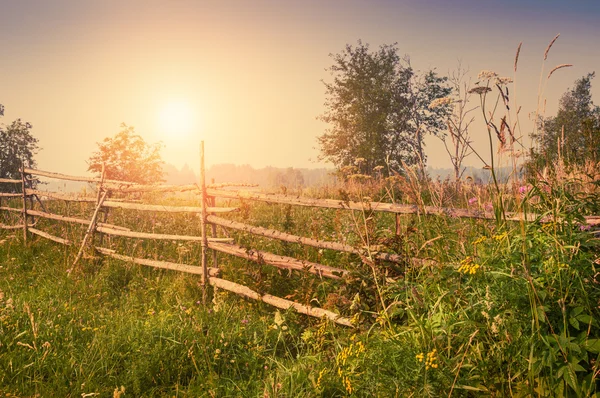 Rural nature at sunset. — Stock Photo, Image