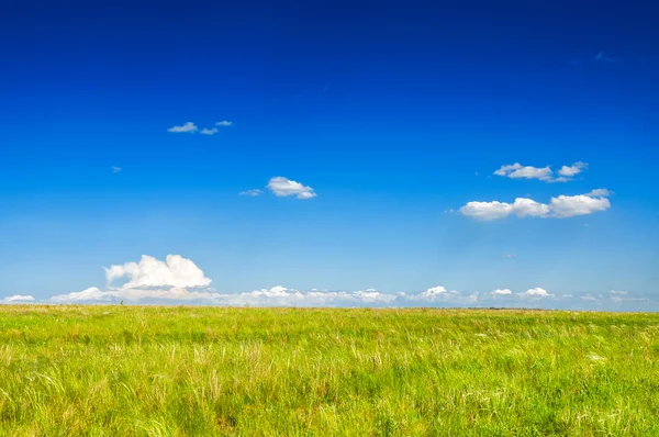 Green field and blue sky — Stock Photo, Image