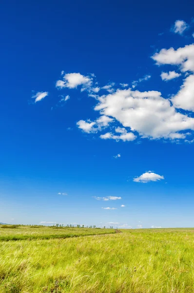 Grüne Wiese und blauer Himmel. — Stockfoto