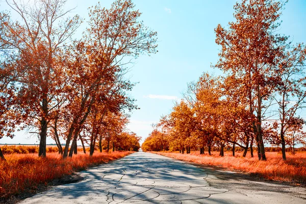 Fantastické podzimní krajina s provinční silnici — Stock fotografie