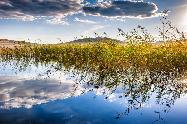 Sunset on a beautiful lake. — Stock Photo, Image