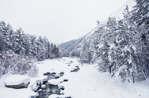 Nevicate sul fiume di montagna — Foto Stock