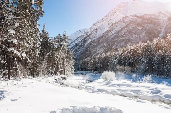 Foresta invernale e fiume di montagna nella giornata di sole — Foto Stock