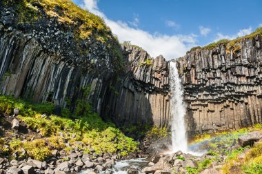 Güzel şelale İzlanda'daki Svartifoss