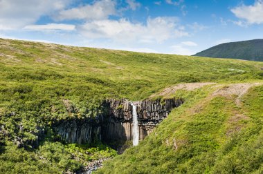 Güzel şelale İzlanda'daki Svartifoss