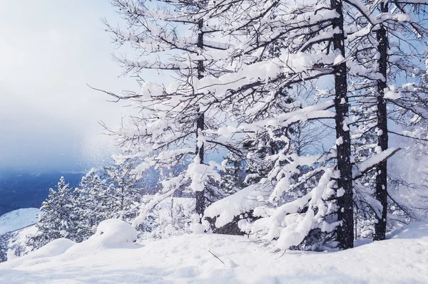 Hermoso paisaje de invierno Imagen de archivo