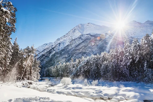 Winter forest and mountains at sunny day — Stock Photo, Image