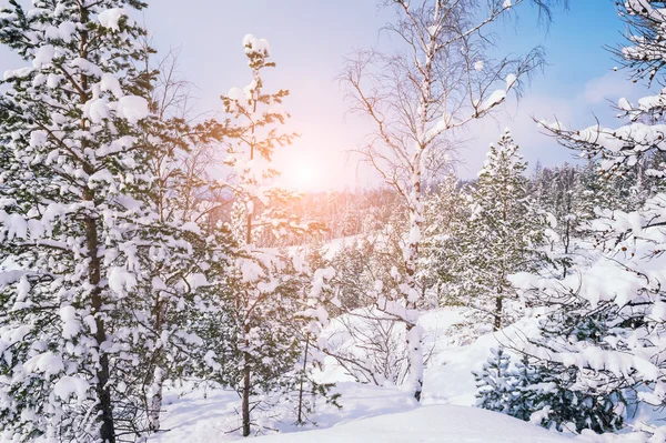 Bellissimo paesaggio invernale — Foto Stock