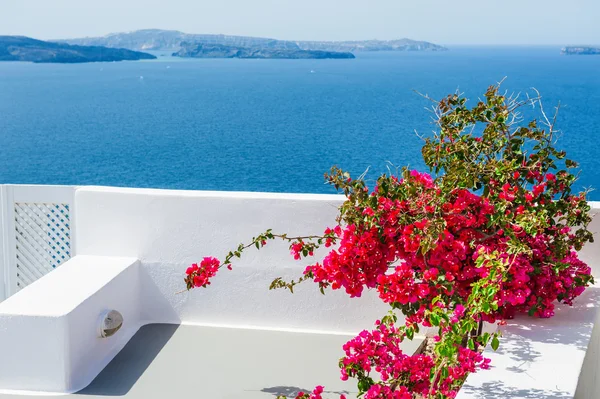 Terrass med röda blommor. Santorini island, Grekland. — Stockfoto