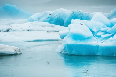 Jokulsarlon buzul lagoon mavi icebergs.